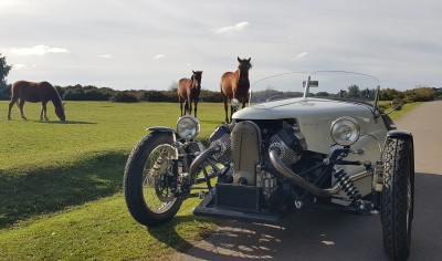 Jigno Horsepower in New Forest145916b.jpg