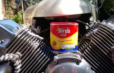 Birds Custard.jpg