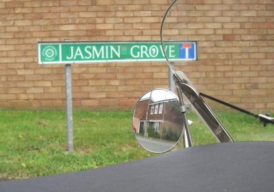 Jasmin.jpg